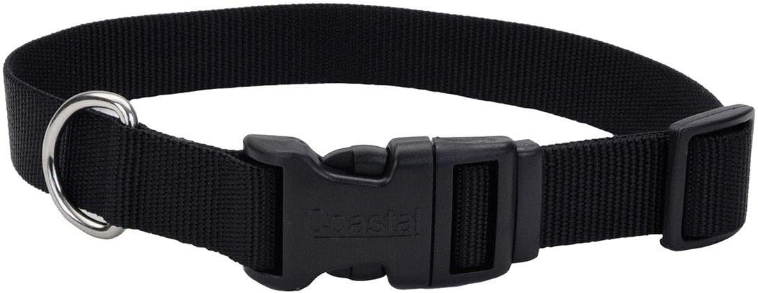 Coastal Pet - Adjustable Dog Collar with Plastic Buckle, Pink Bright, 1" x 18" - 26"