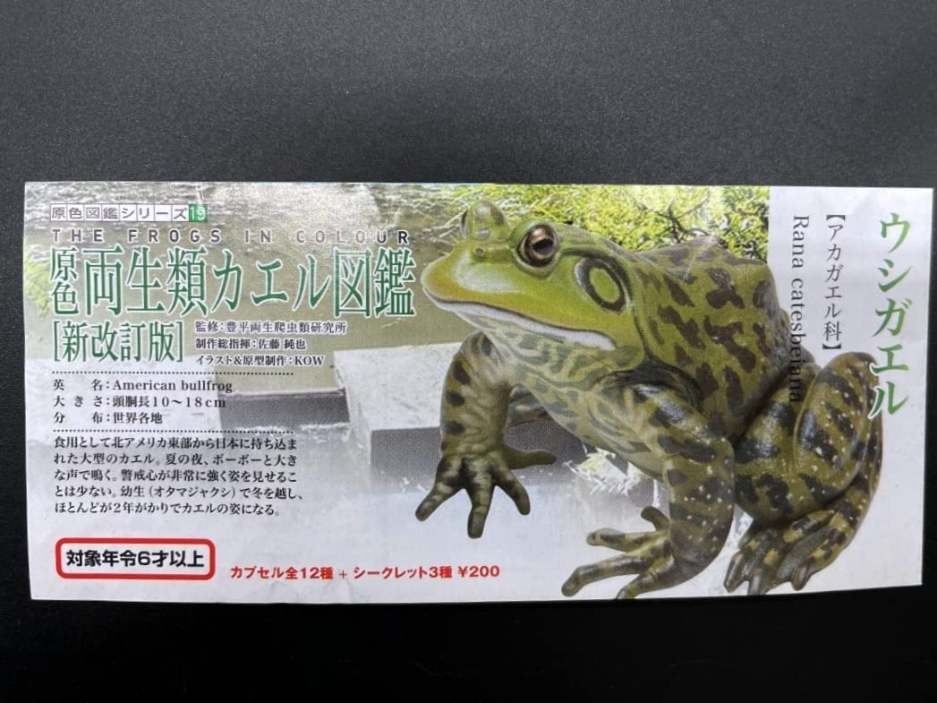 未使用】YUJIN 原色両生類カエル図鑑新改訂版15種