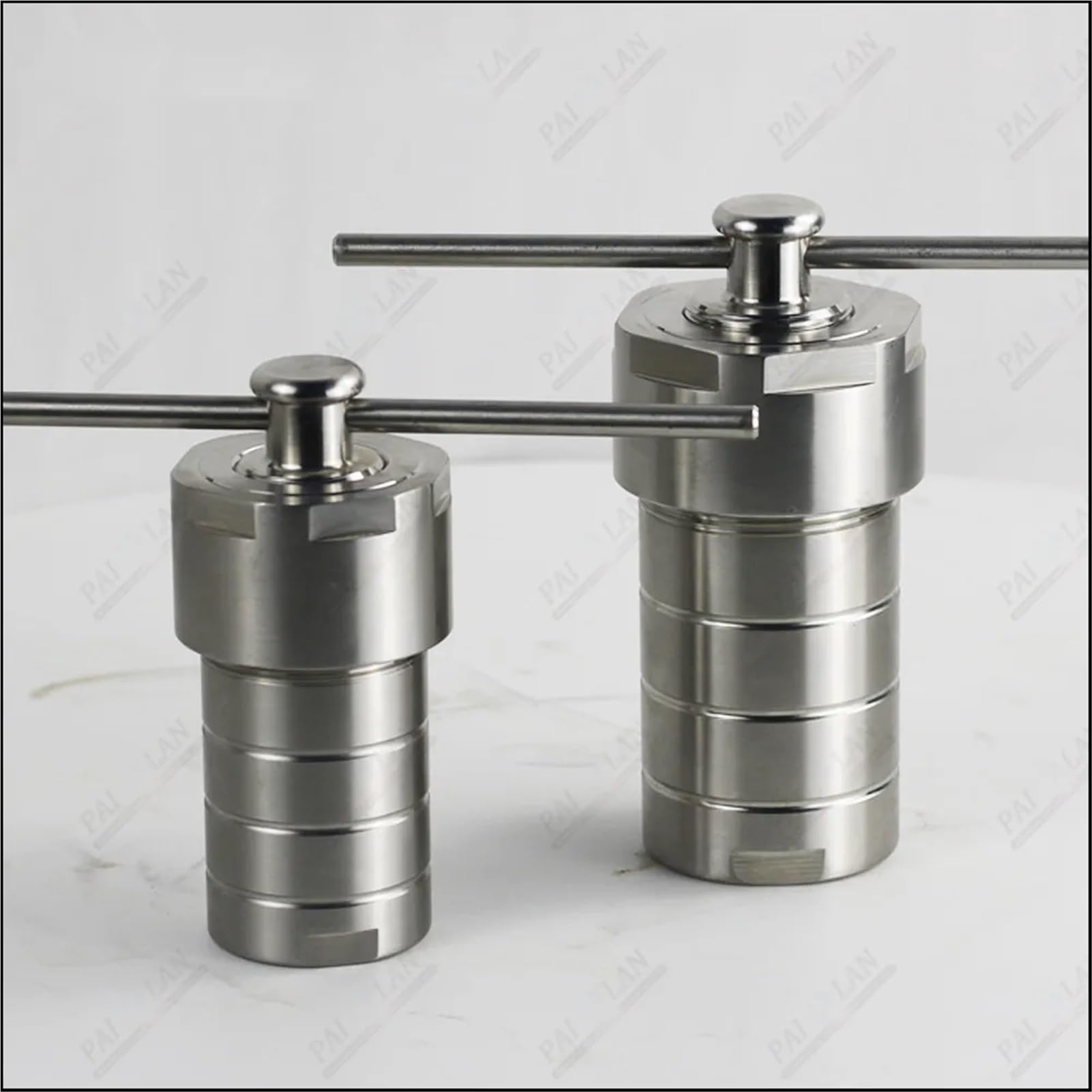 Hydrothermal Synthesis Reactor Stainless Steel high-Temperature and high-Pressure Reactor Digestion Tank 20ML(20ML PPL Lining)