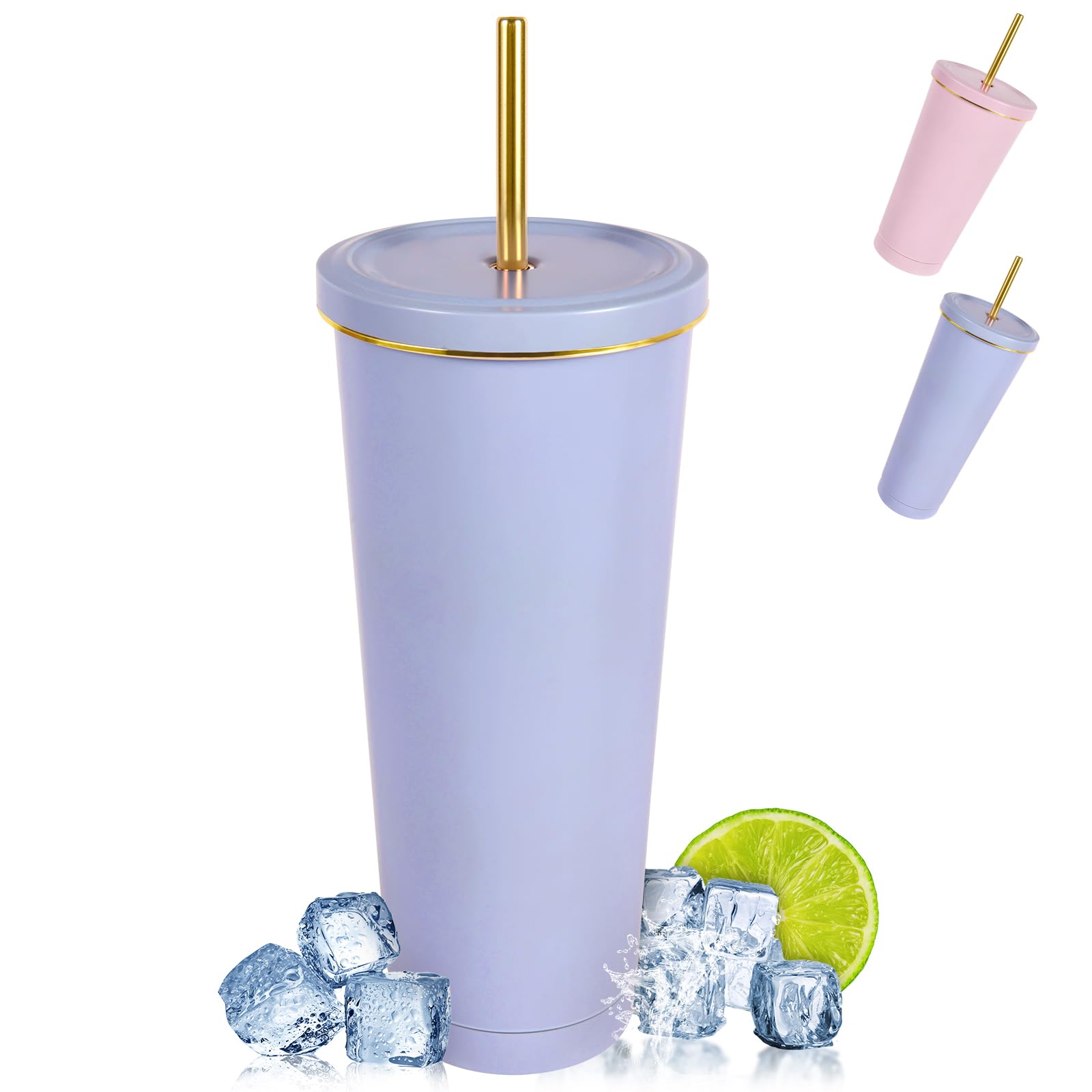 flintronic Tumbler with Straw and Lid, 750 ML/25 OZ Leakproof Insulated Thermal Mug