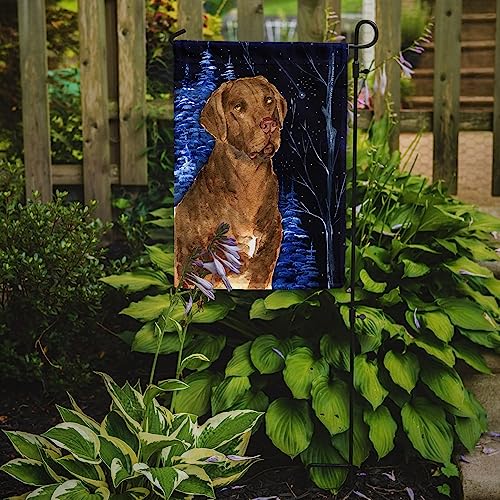 Chesapeake Bay Retriever drapeau jardin starry night petit format - 3