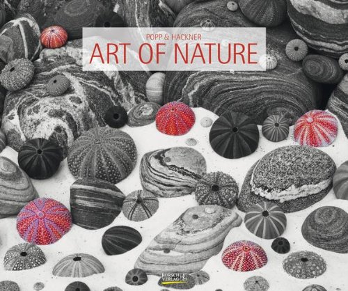 Art of Nature 2013. Photoart Classic