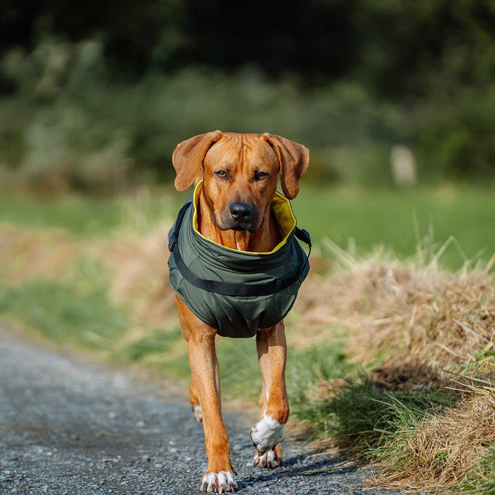 Nobby Sobak 65539 Dog Coat 2 in 1 Olive Yellow 20 cm - Image 3