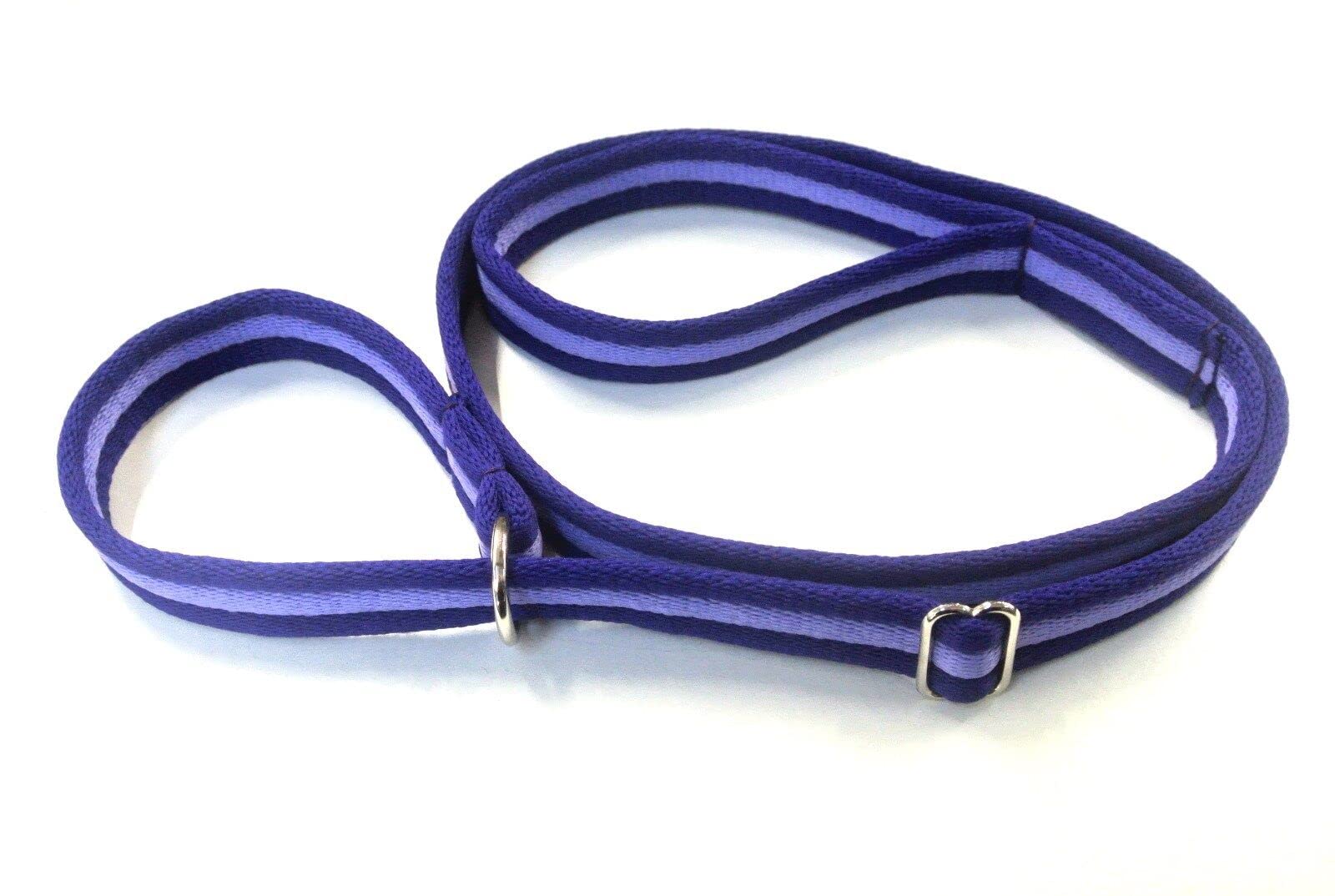 Dog Slip Lead Training Walking Leash 60" Long Obedience Slip On Dog Lead Soft Comfortable Air Webbing In (Purple/Lilac, 20mm) — image 1