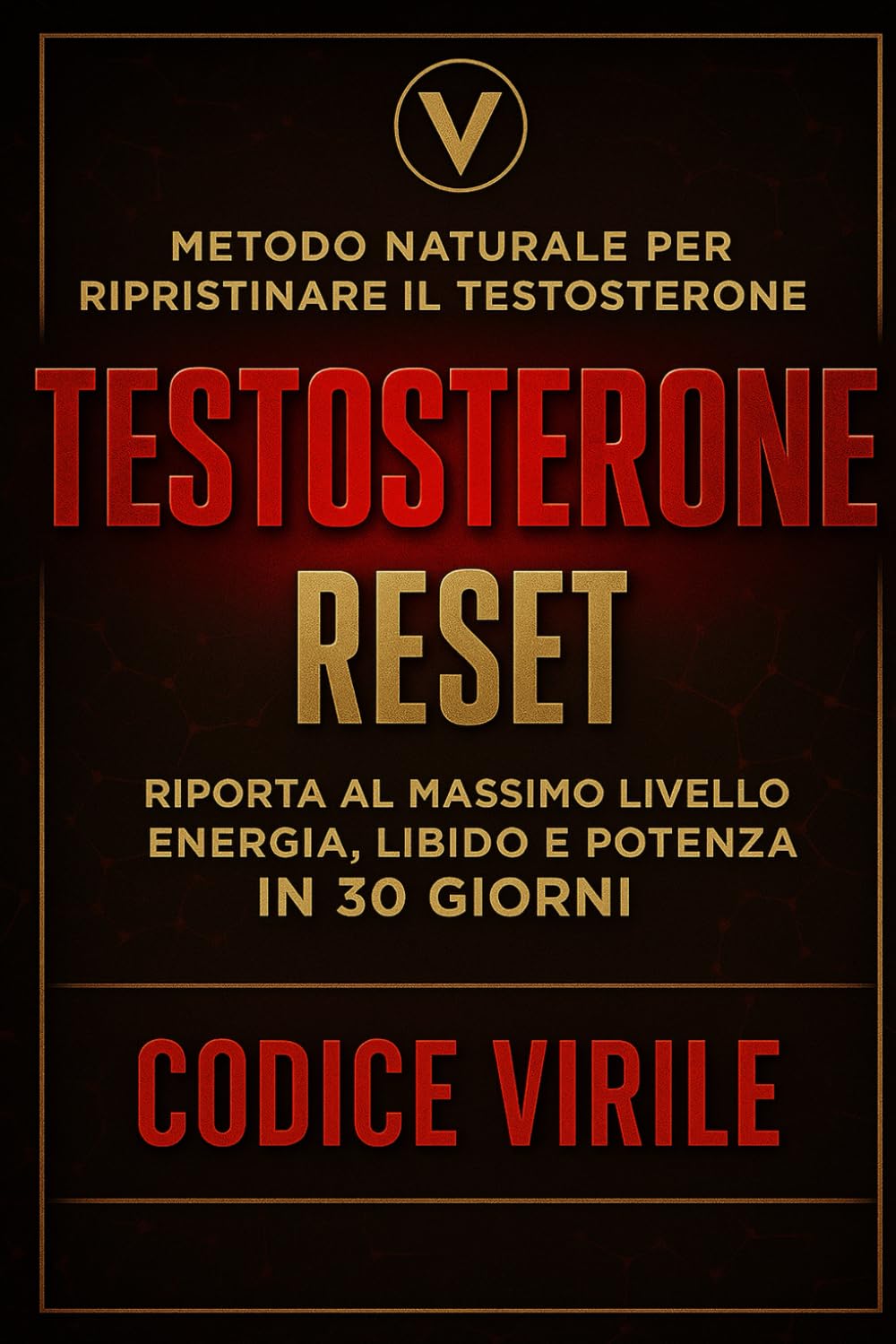Manuale Codice Virile: 30 giorni per ritrovare energia, disciplina e potere maschile
