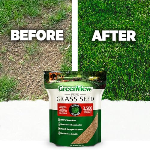 GreenView Pure Grass Seed Sunny Mixture, 3 lb. Bag – Covers up to 1,500 sq. ft.