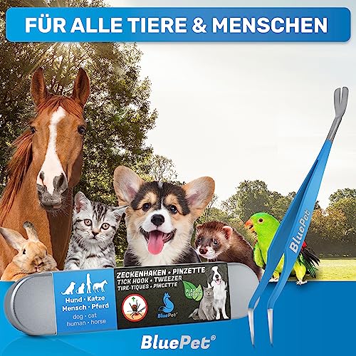 BluePet 2in1 Zeckenpinzette für Hunde, Katze, Pferd & Mensch I Edelstahl Zeckenzange mit Case I Zeckenhebel als Solider Zeckenentferner I Alternative zu Zeckenpinzette, Zeckendreher & Zeckenmittel