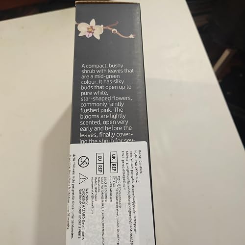 ubuy Brunei
