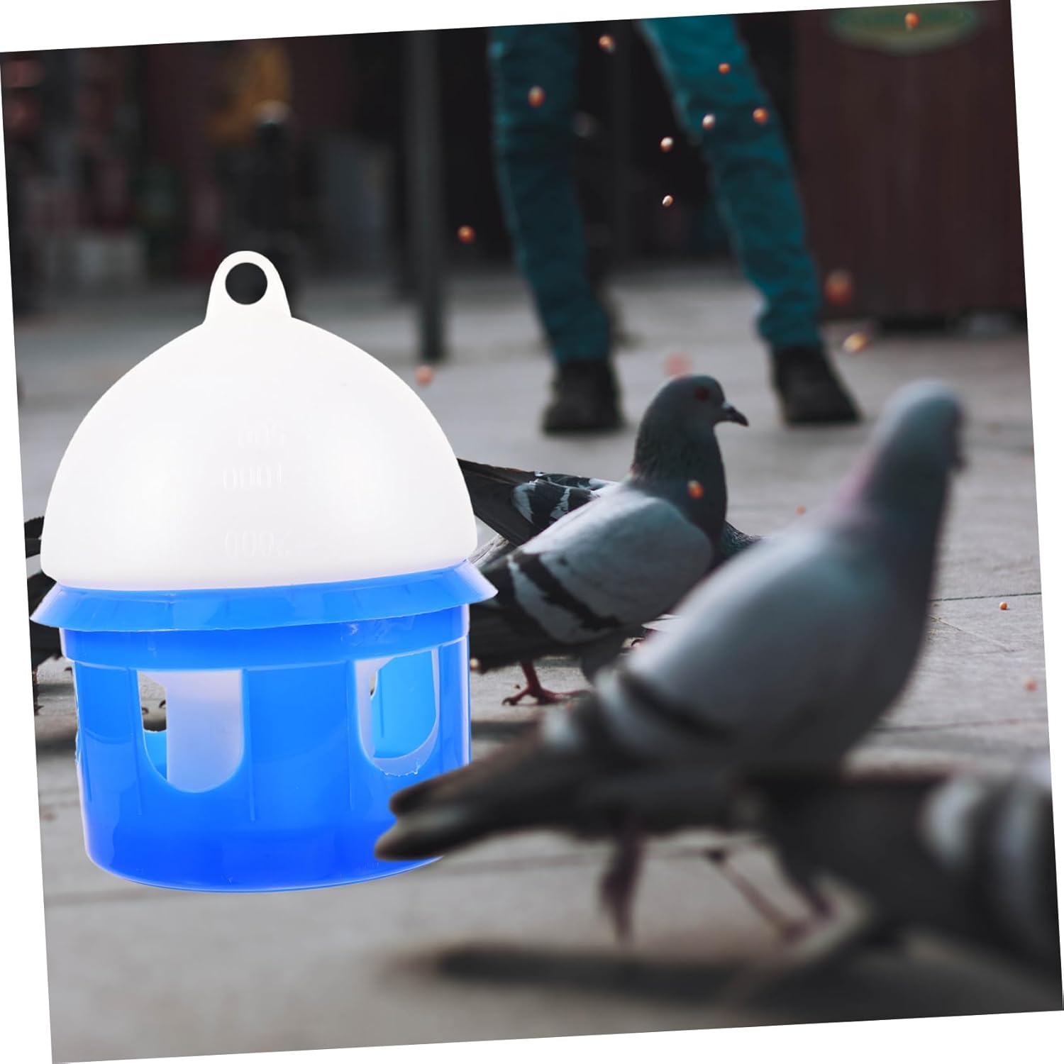 GALPADA 1Pc Automatic Pigeon Water Drinker Capacity Blue Dispenser Unique Design for Easy Use and Cleaning for Pigeons Doves and Other Birds Sturdy and Removable