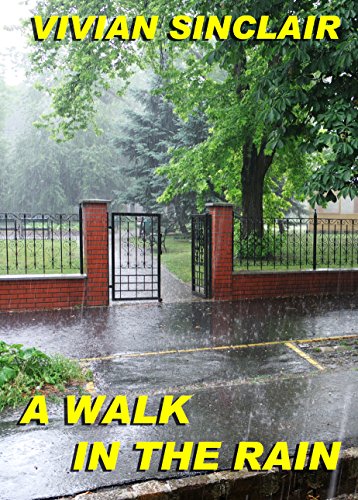 A Walk In The Rain (Seattle Rain Book 1)