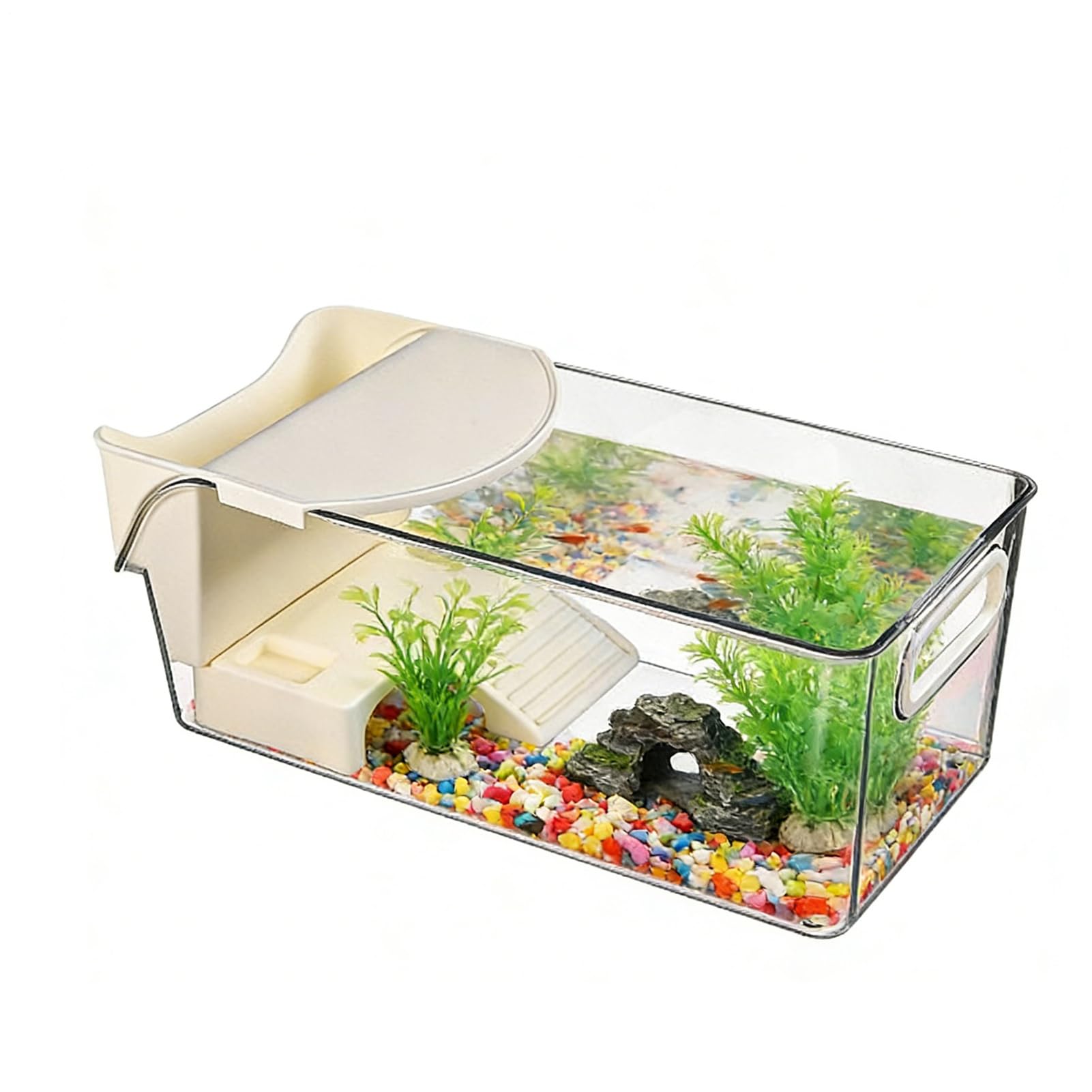 Aquarium pour tortues transparent, idéal pour observer les geckos du salon