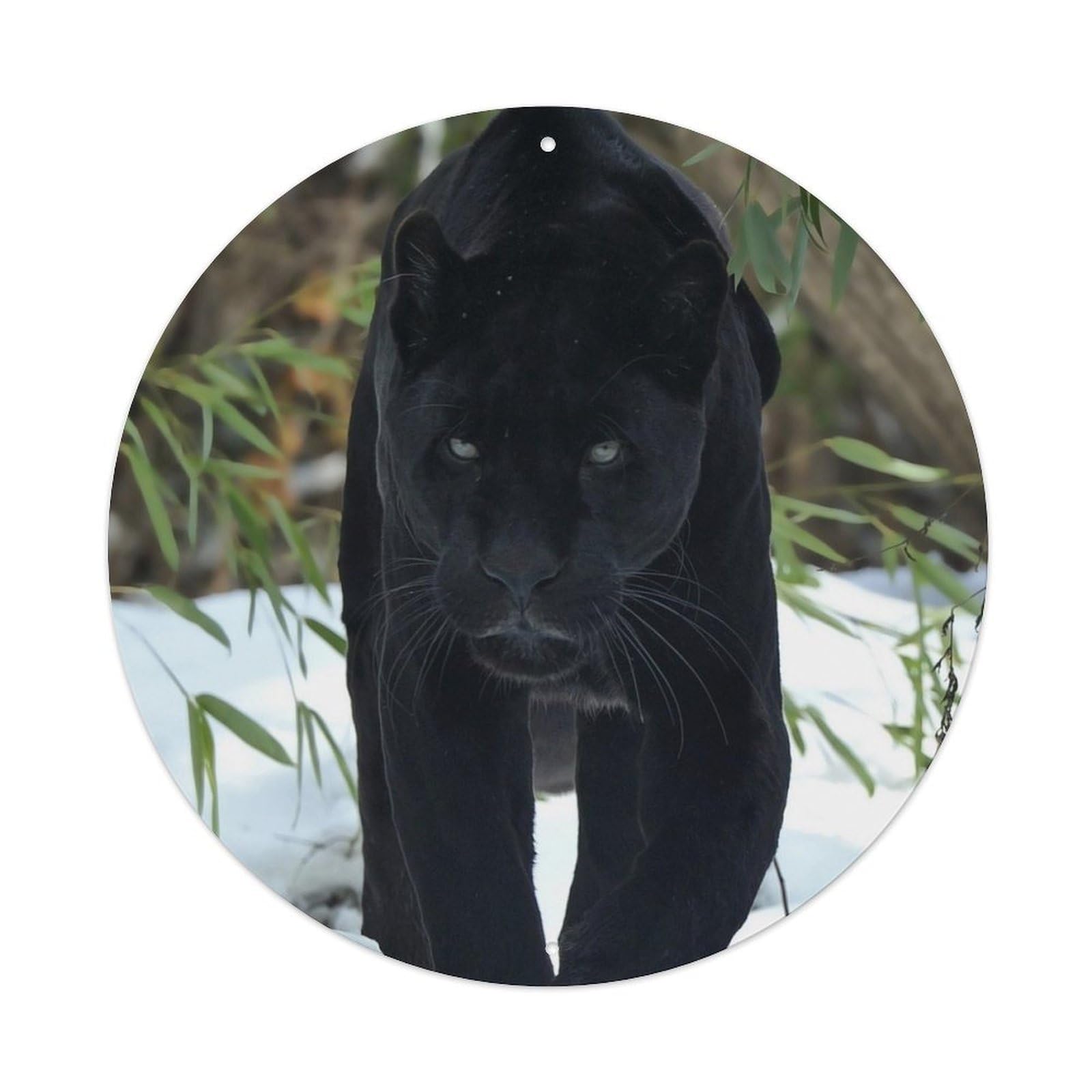 Animal Fierce Black Panther Vintage Metal Tin Sign Plaque Wall Decor for Cafe, Club, Garden Round Metal Poster 8x8Inch