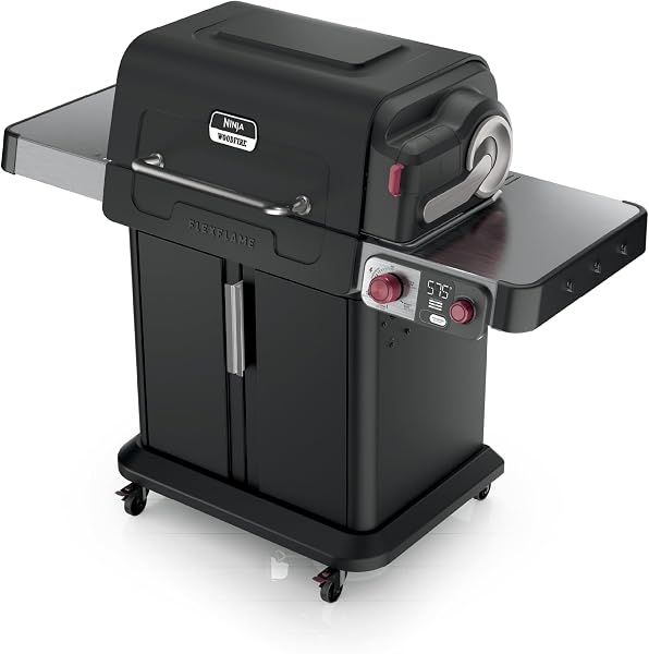 Ninja FlexFlame, Grill and Smoker, Electric and Propane Grill Stainless Steel, Black, Green, Blue