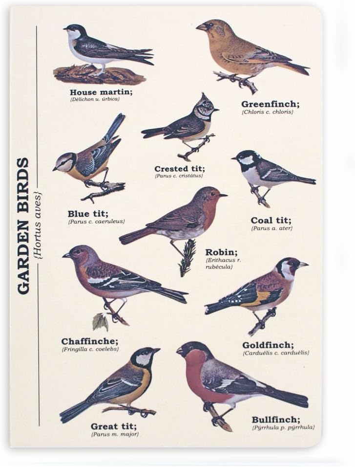 Gift Republic GR270084 Birds A5 Notebook, One Size, Multi-Colour