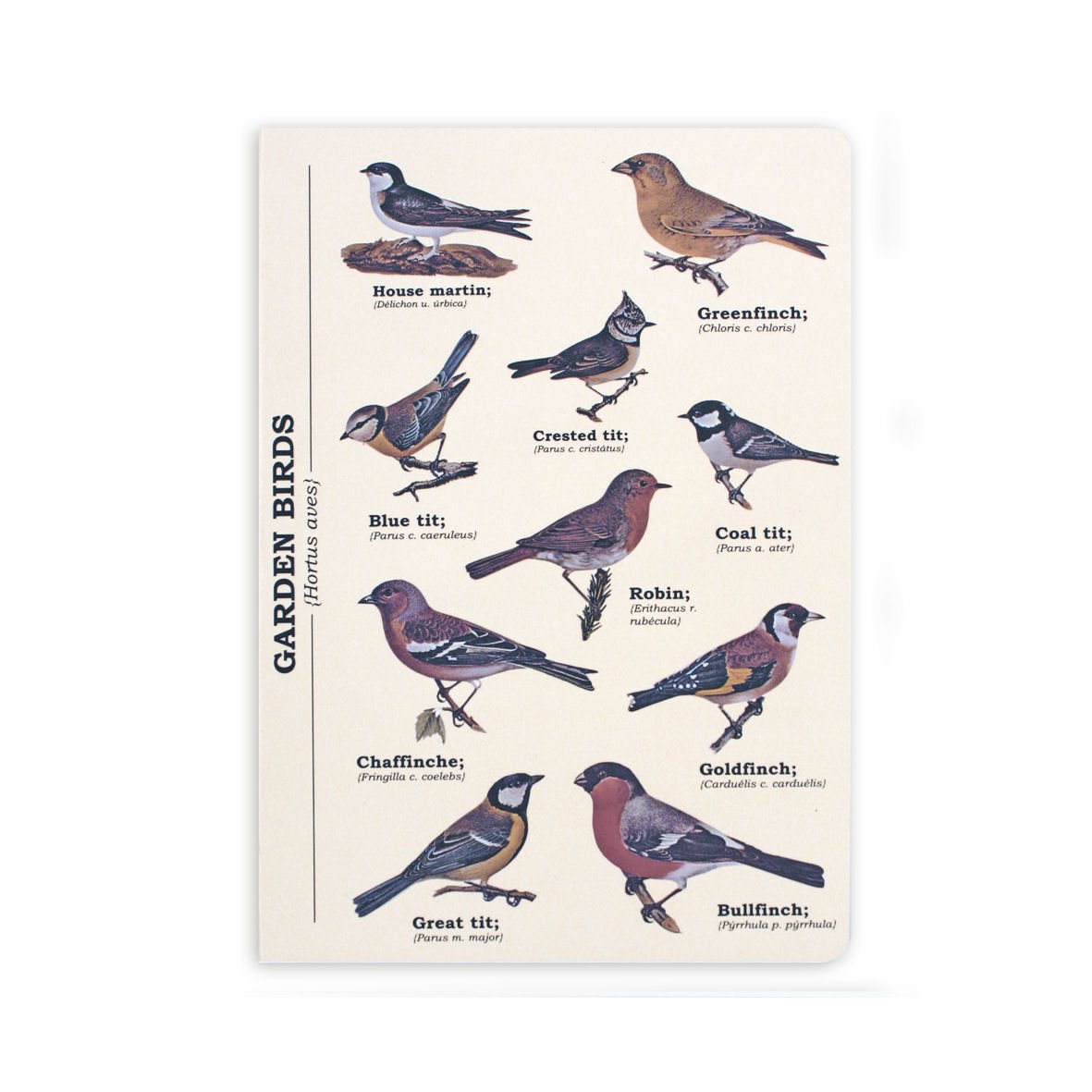 Gift Republic Garden Birds A5 Notebook