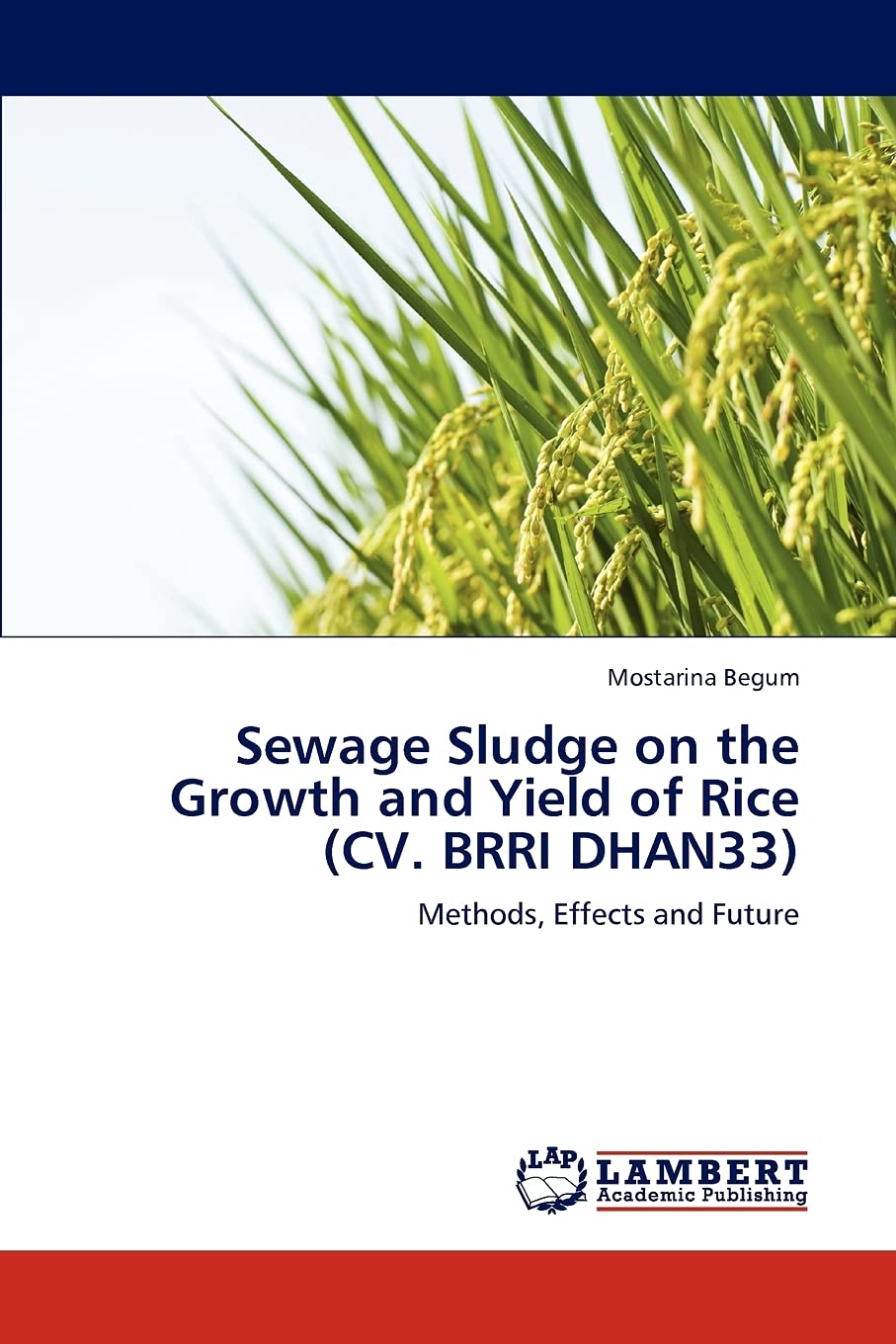 Sewage Sludge on the Growth and Yield of Rice (CV. BRRI DHAN33): Methods, Effects and Future