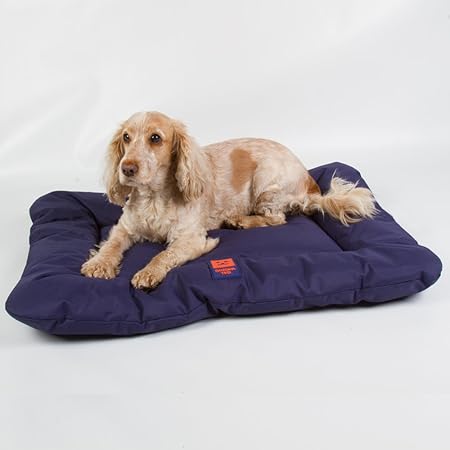 cocker spaniel bed size
