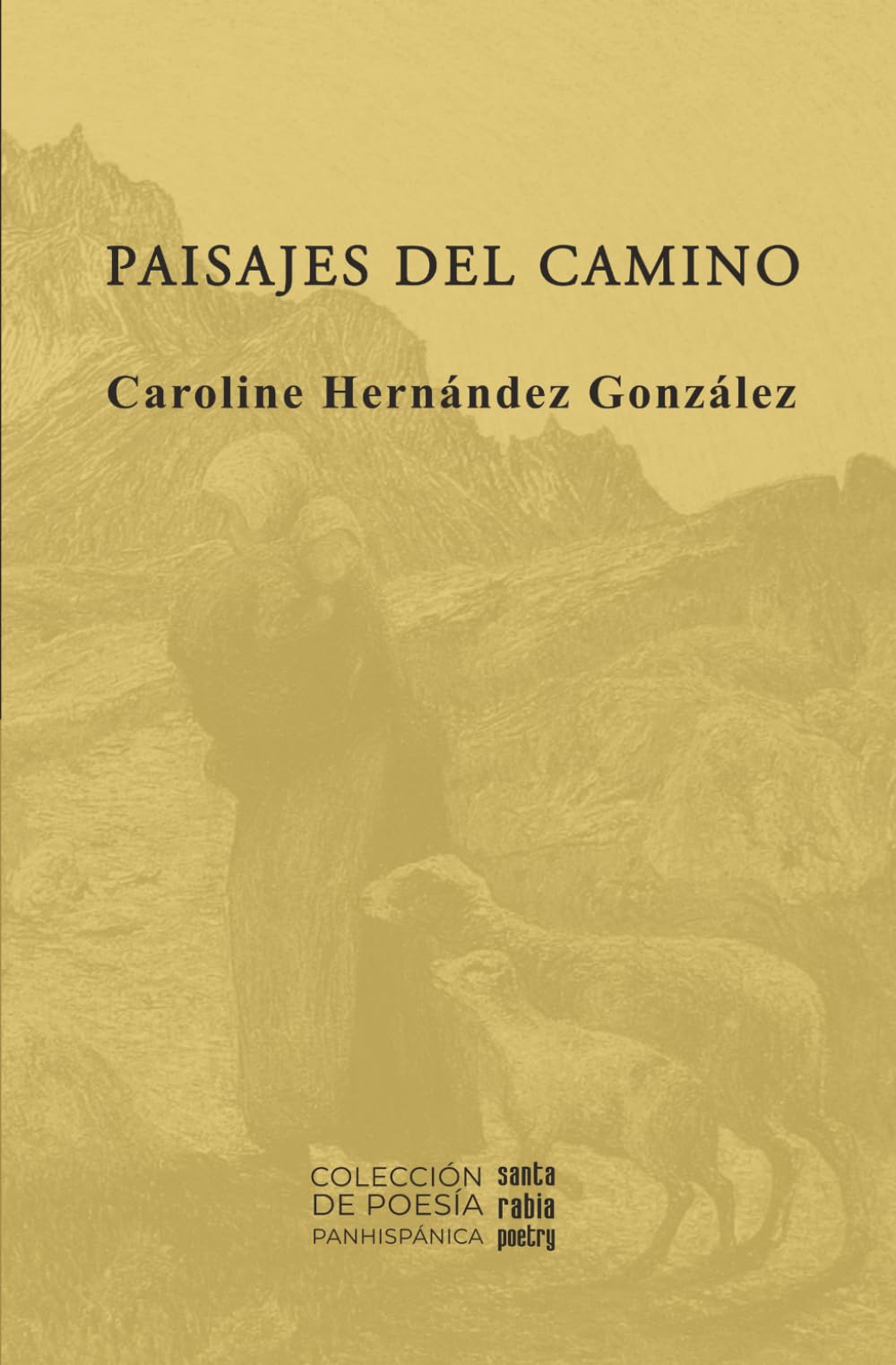 Paisajes del camino (Colección de poesía panhispánica)