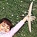 FOYTOKI Wooden Hand Thrown Glider Plane Kit DIY Model Aeroplane for Boys and Girls Adults Hand Launch Glider for Indoor Outdoor Play