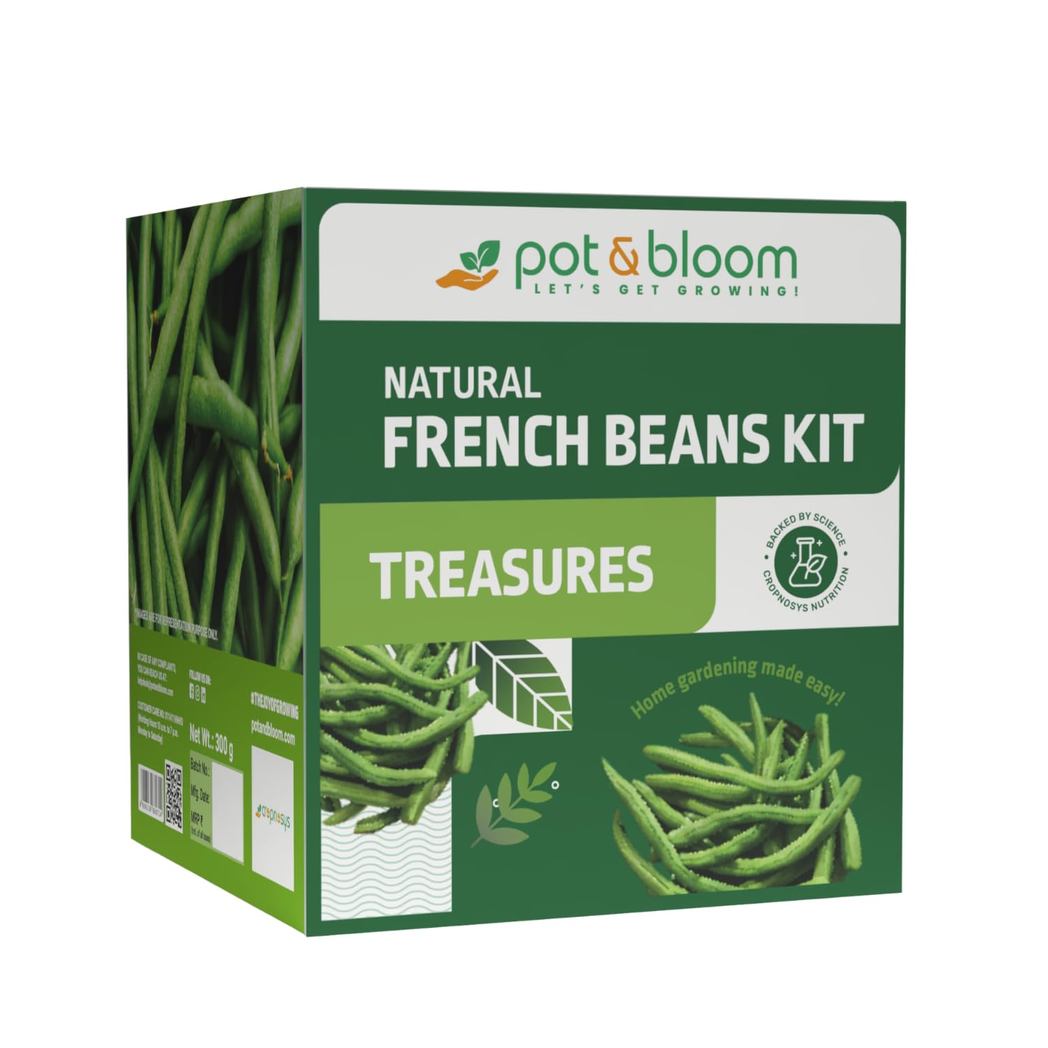 Treasures French Beans Kit –Complete Gardening Set with Seeds, CocoPot, Plate, Water Spray, Nutrition Powder, Potting Mix, and Instruction Manual for Easy Growing & Harvesting Beans-image-41