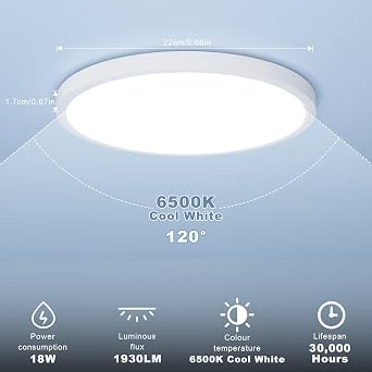 Ceiling Lights, 18W 1850LM, Cool White 6500K, 22 * 1.7CM, 2 Pack [Energy Class F]