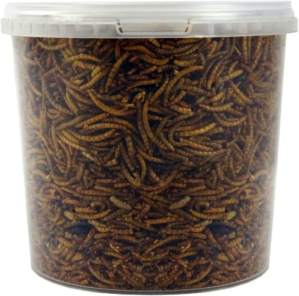 Dried Mealworms | Premium Garden Wild Bird Food Mix Balanced Formula | Protein-Rich, Great Source of Energy | Contains Beneficial Mixed Vitamins | Large Variety (2.5L Tub)