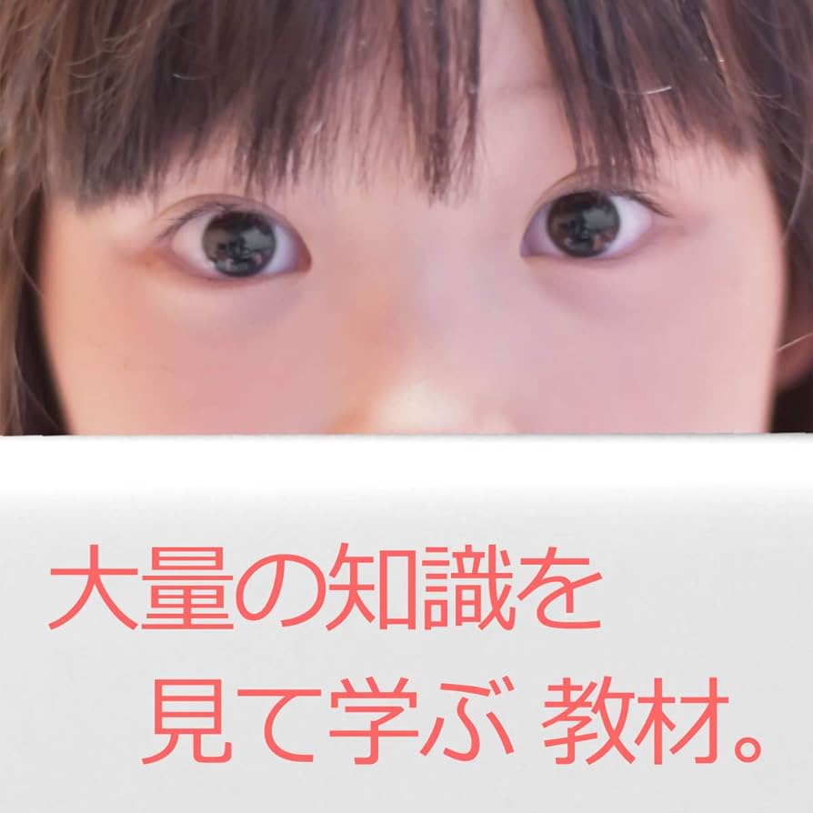 視覚学習DVD お試し9巻　星みつる式 フラッシュカードDVD 公式】ウェンディー9巻 (星みつる式)｜5,400枚の絵カードを9枚の