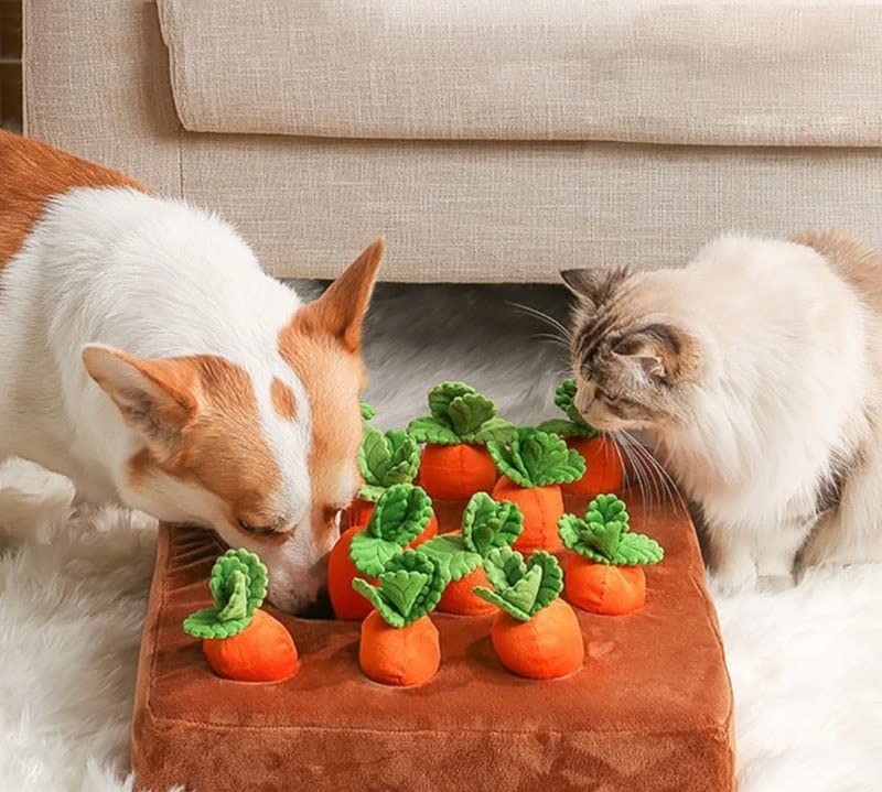 KOMUNJ Intelligenzspielzeug für Hund Interaktives Spielzeug Plüsch Karotte Schnüffelteppich Kau Und Kinderspielzeug Schnüffeltraining Stressabbau Haustier Puzzle Spiel