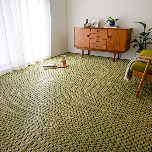 �f�B�m�X �J�[�y�b�g ���O �}�b�g 10�� �ӂ����炢����~�� �|��D(�T�C�Y�͂���܂��� �A�F�O���[���P�C)