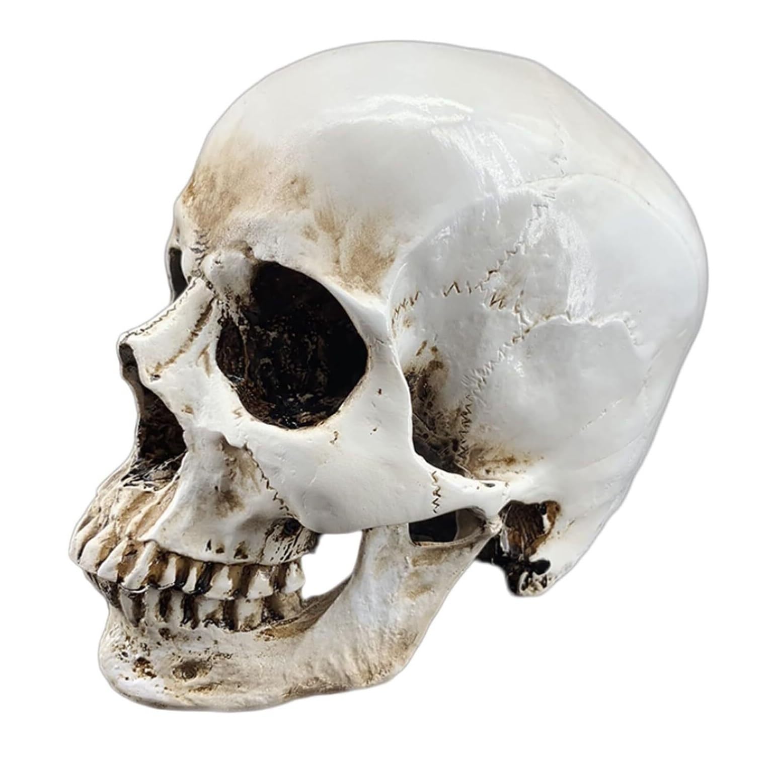 (未使用･未開封品)　SKULL MAN: COMPLETE COLLECTION og8985z 未使用・未開封品) SKULL MAN: COMPLETE COLLECTION og8985z 【公式通販】