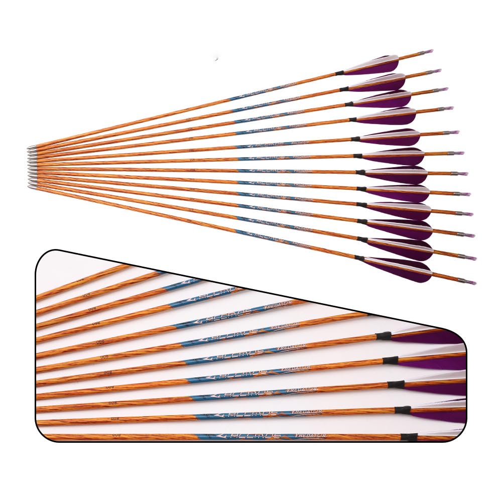 12 Pezzi Viola Bianco Piuma Frecce da Caccia Spine 500 600 700 800 900 1000 Simile al Legno Freccia con Albero in Carbonio ID 4,2 mm per Caccia Pratica Tiro con L'Arco