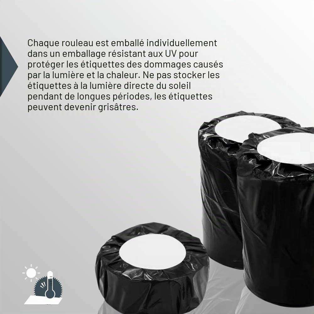 BETCKEY - 10 Rouleaux 99012 Étiquettes Compatible avec DYMO S0722400, 36mm x 89mm, 2600 Étiquettes dAdresse Pour DYMO LabelWriter 450, 4XL, NON Pour 550 ou 5XL