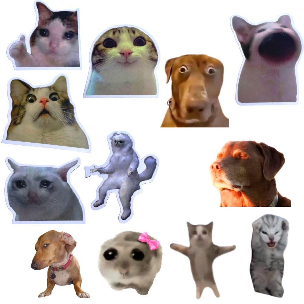 Funny Magnets, Fun Cute Cool Meme Phrase Quote Word Magnet Set for Adults; Applicable on Fridge, Refrigerator & Car with Jesus I Saw That, it’s fine cat & Dog Gifts (B)