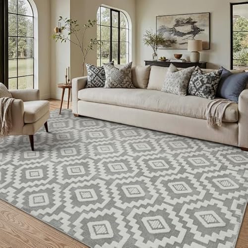 Super Soft Shag Rug 5x8 for Living Room Modern Gray Washable Large Area Rugs High Pile Non-Shedding Throw Rugs Non Slip Indoor Office Carpet for Playroom Bedroom Home Aesthetic Decor 5' x 8'
