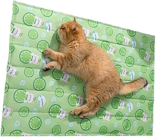 KryZaroXL �T�C�Y �y�b�g�⊴�}�b�g �O���[�� 60x90cm ���L���^�y�b�g���p ��p�W�F���V�[�g �Ђ���V�[�g �ăy�b�g�p�i �ԗp���z�c �M���Ǒ΍�N�[���}�b�g