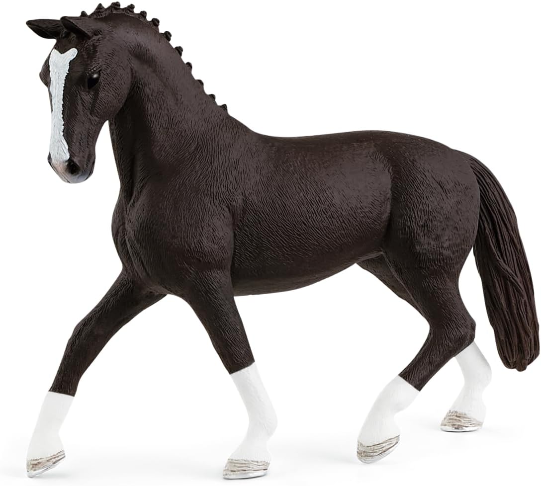 13927 - Hanoverian mare, Black