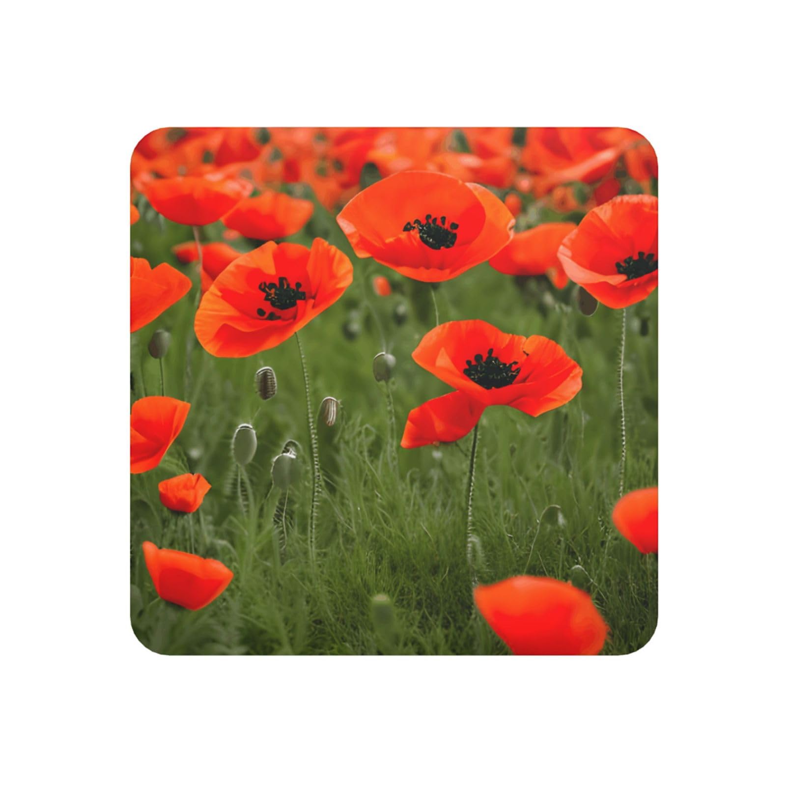 Poppy Flowers Petals Print Refrigerator Magnet,Magnets For Refrigerator Decoration, Kitchen, Office, Wall