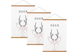 FALAMON Magnetic Picture Frame for Posters, Prints, Maps