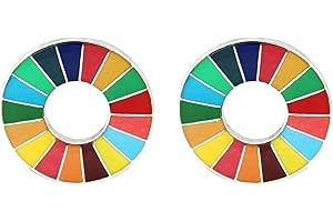 SDG Enamel Pin: Showcase Your Commitment to Global Goals