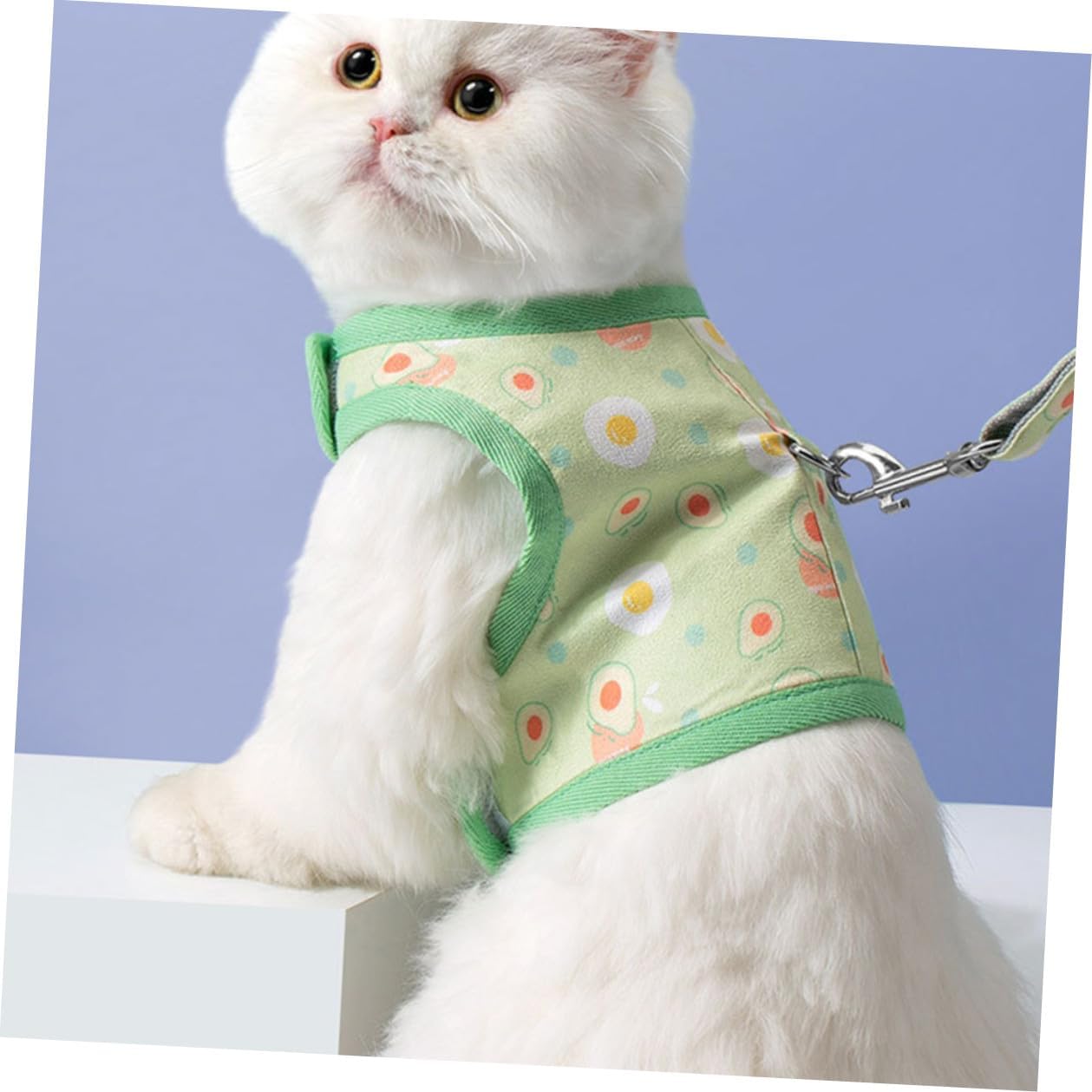 TOYANDONA Cat Vest Harness and Avocado Pattern Leash Set, Breathable Mesh Fabric, Size M for 6-9 Lbs Cats, Adjustable Pet Walking Strap for Outdoor Use