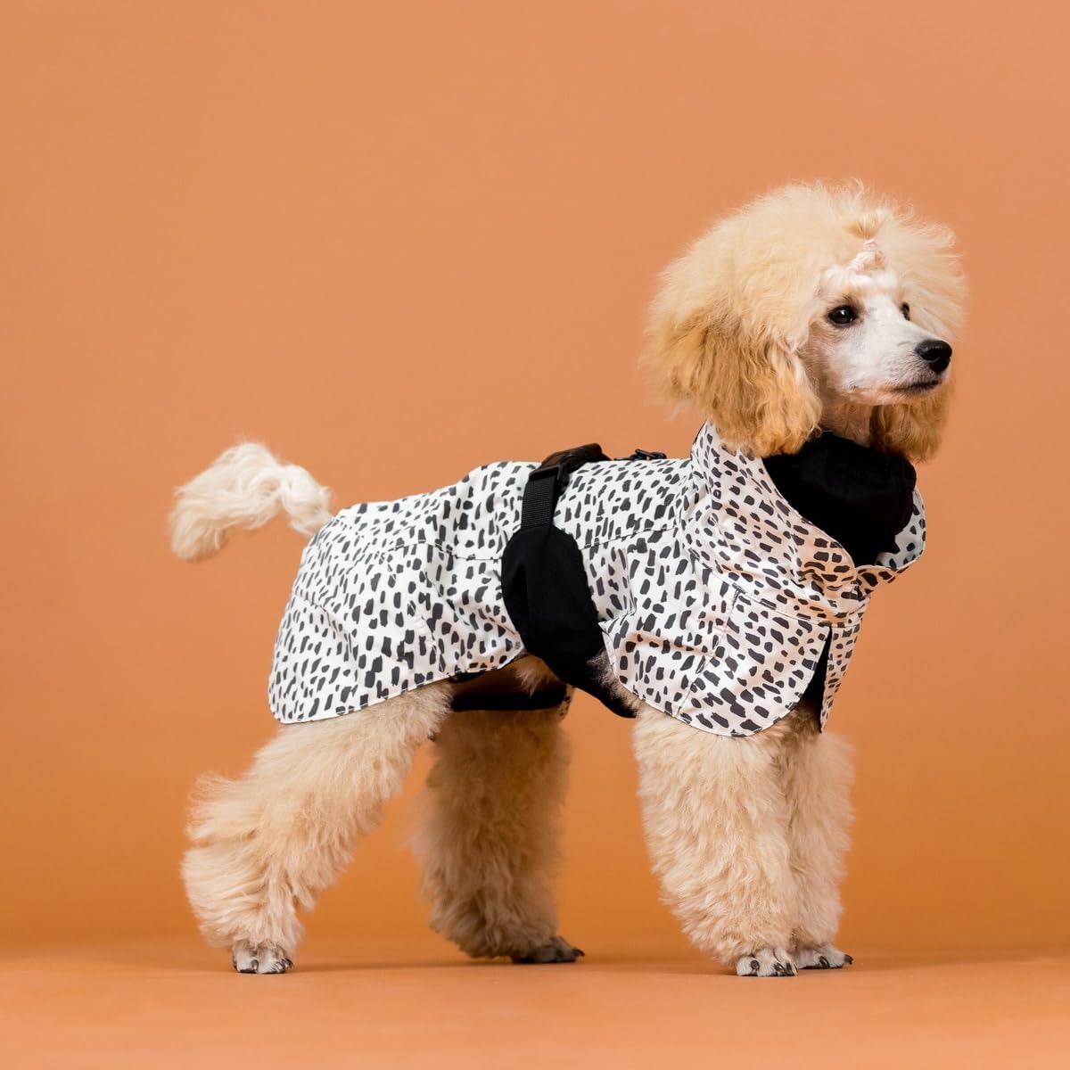 Hunde Regenmantel Raincoat“ 2.0 (Rückenlänge: 30 cm)