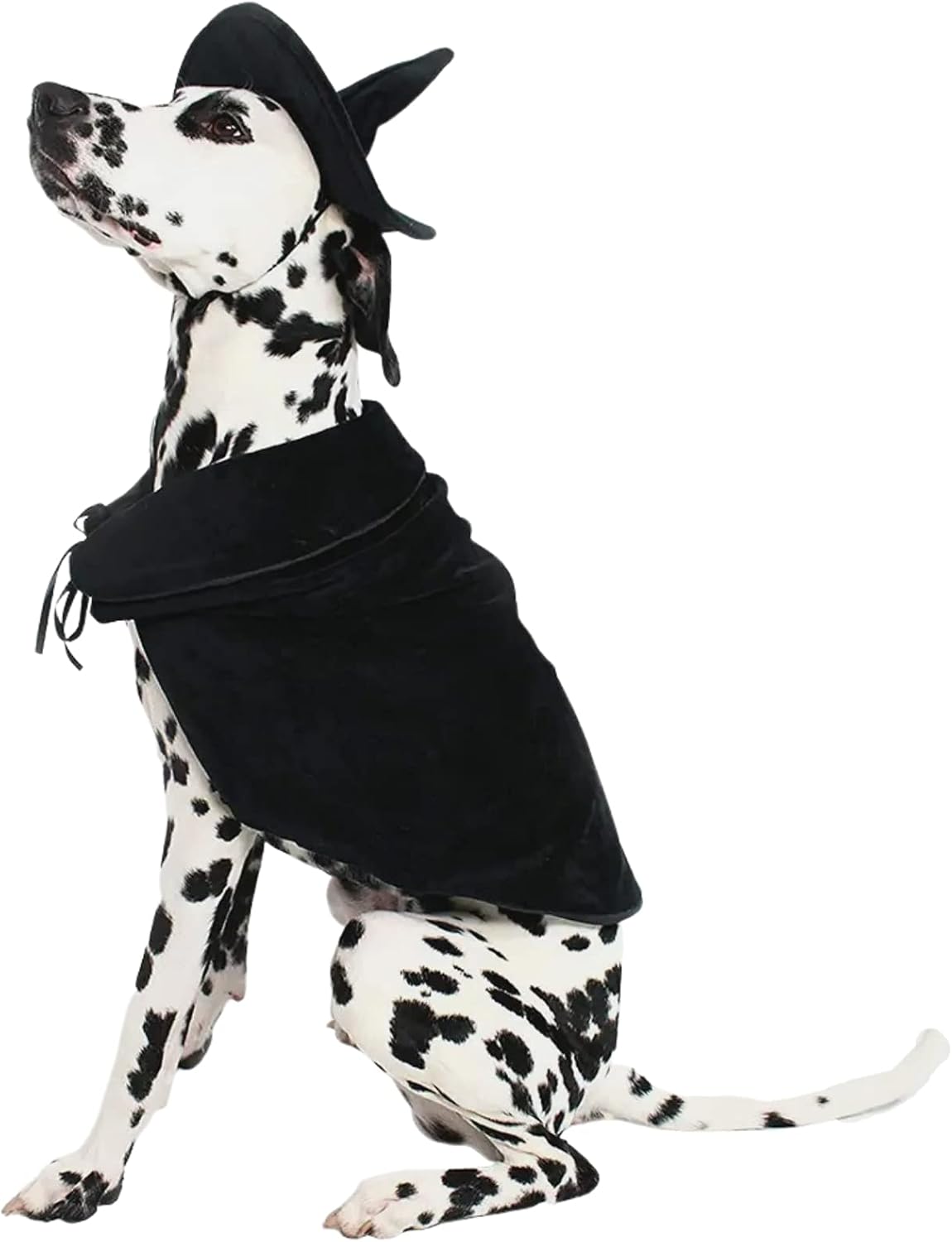 Midlee Halloween Witch Cape and Hat Dog Costume (X-Large)