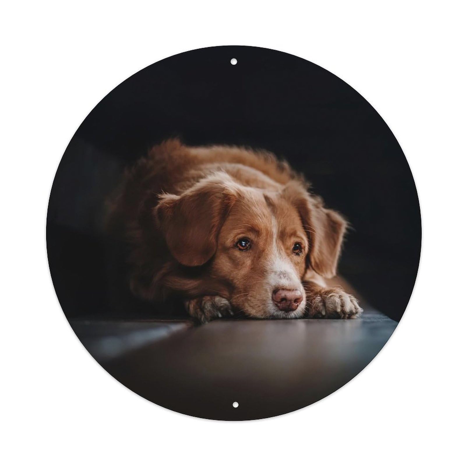 Cwbufd Vintage Style Animal Golden Retriever Comfort Dog Soft Light And Home Ambience Vintage Metal Tin Sign Plaque Wall Decor For Cafe, Club Bar, Office, Garden Metal Poster 8X8inch