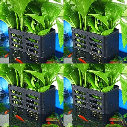 Upgraded Double Hole Aquarium Hanging Aquatic Plant Holder with Hooks and Suction Cups for Fish Tank Aquaponic Plant Cultivation and Aquascape Decorations 4 Pieces (Black)