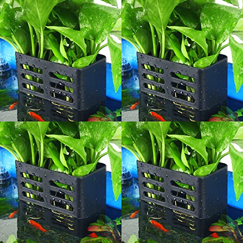 Upgraded Double Hole Aquarium Hanging Aquatic Plant Holder With Hooks And Suction Cups For Fish Tank Aquaponic Plant Cultivation And Aquascape Decorations 4 Pieces (Black) #TOP5