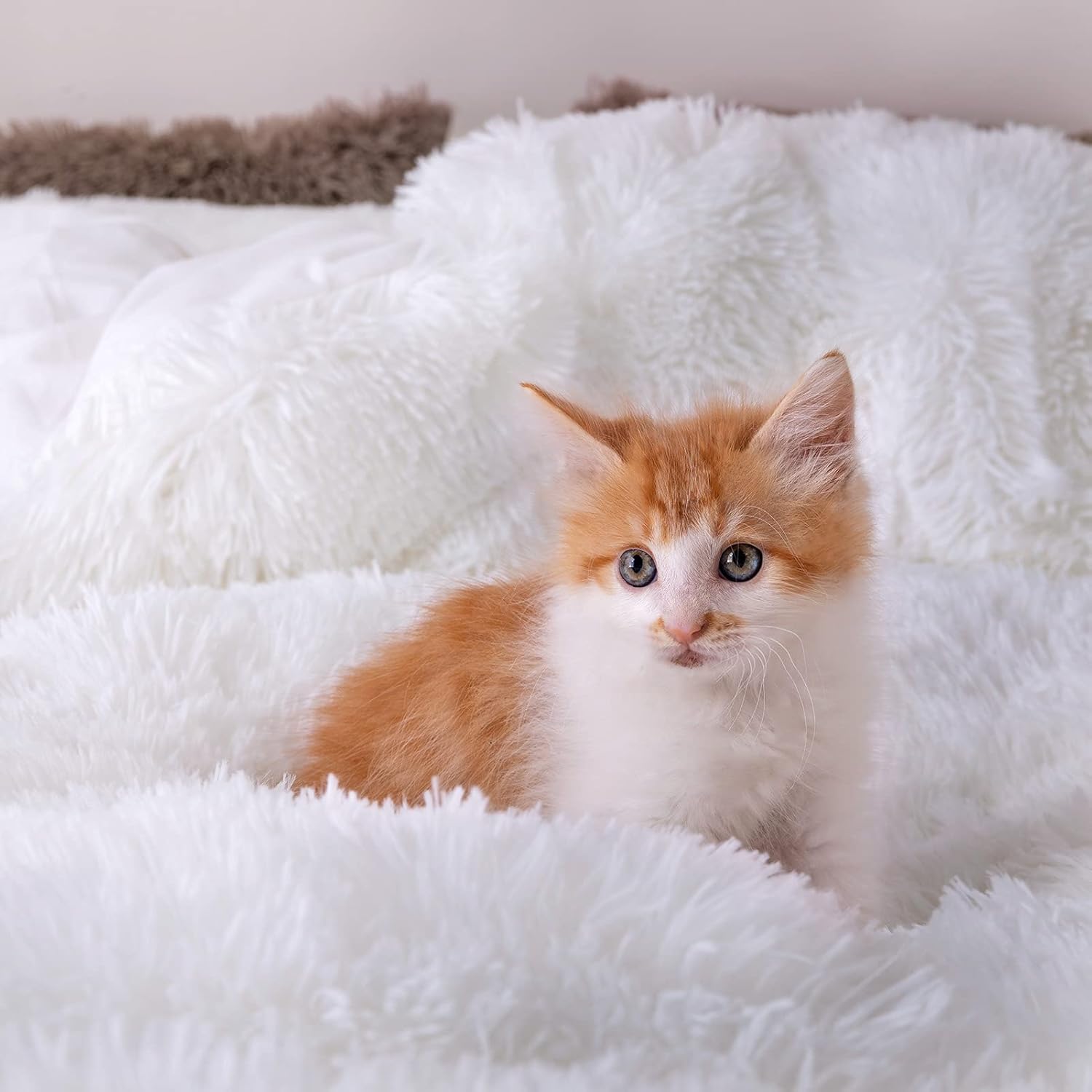 Tech Deals 🔥 Plush Fluffy Duvet Cover Oeko-TEX Certified Luxury Ultra Soft Shaggy Crystal Velvet Bedding Set 3 Pieces(1 Duvet Cover + 2 Pillow Shams) Zipper Closure(Queen, White) Big Sale Plush Fluffy Duvet Cover Oeko-TEX Certified Luxury Ultra Soft Shaggy Crystal Velvet Bedding Set 3 Pieces(1 Duvet Cover + 2 Pillow Shams) Zipper Closure(Queen, White)