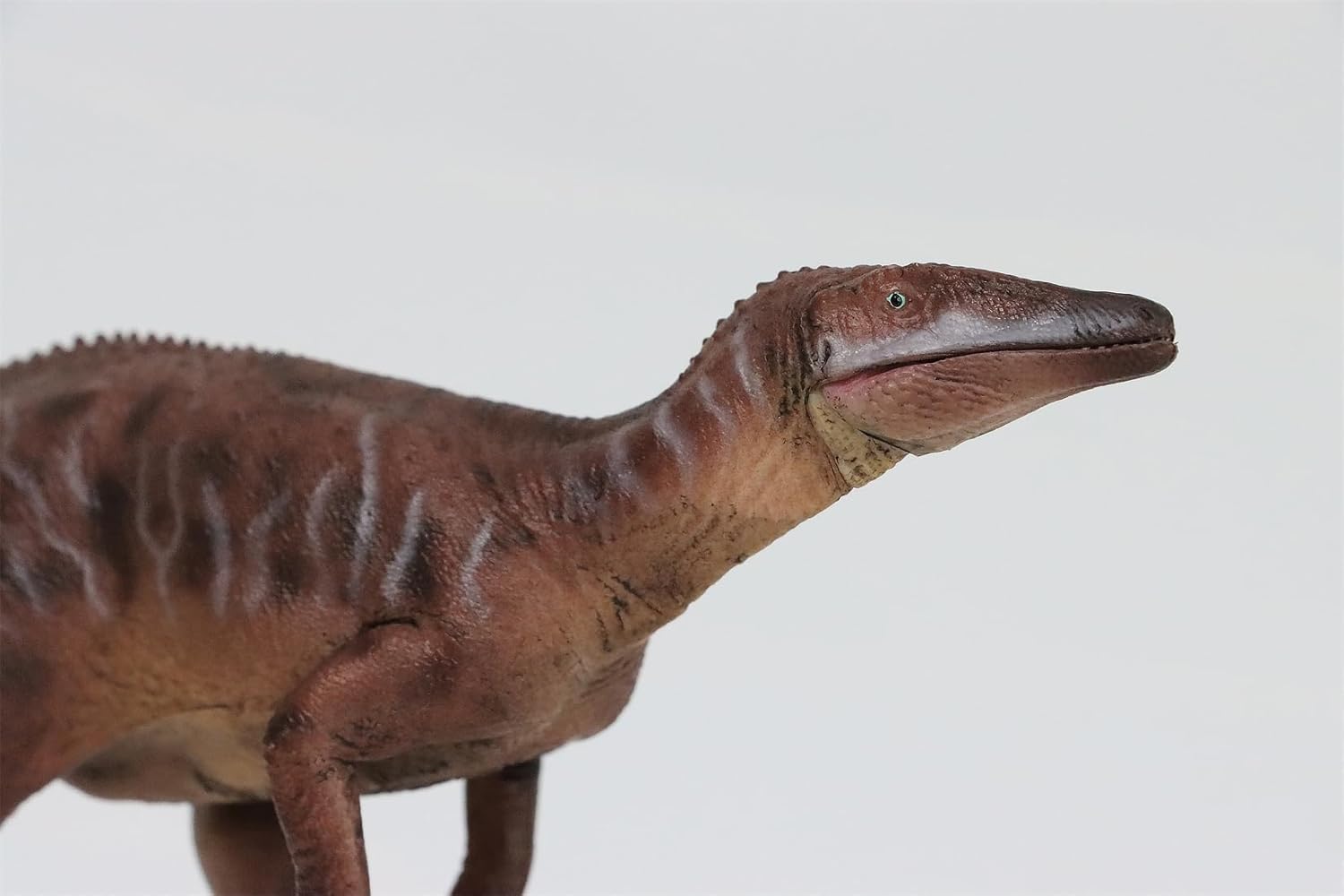 HLG Studio 1:35 Scale Megaraptor Model PVC Dinosaurs Figure Collection Realistic Decoration Gift for Adult (Red)