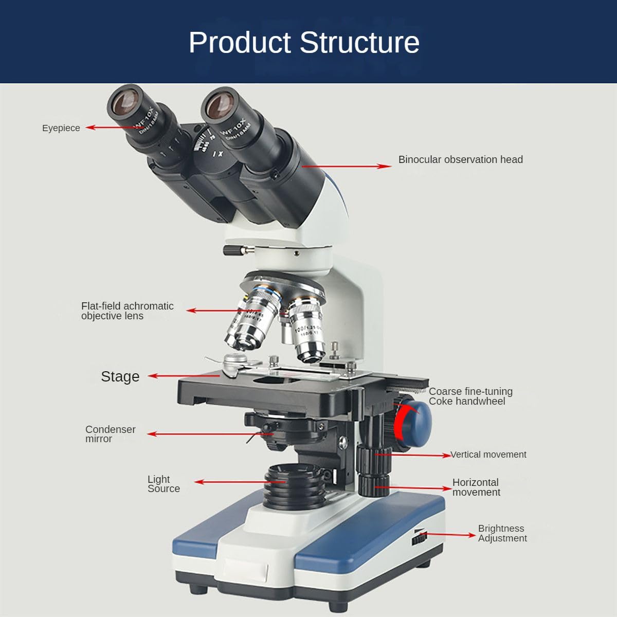 Microscopio biológico Profesional, Equipos y Suministros de Laboratorio, 40X-2500X/4*Objetivo/4*Ocular, con Condensador Abbe, Fuente de luz LED hacia Arriba y hacia Abajo