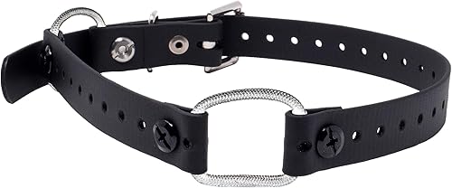 Educator Collar de perro extra pequeño con doble bungee para perro, bioano, impermeable, resistente al olor, hebilla de metal y anillo en D con dos