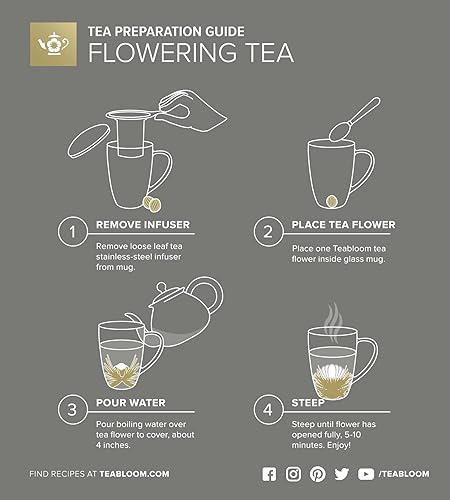 Miniatura 6 de Teabloom Taza de vidrio a prueba de calor de doble pared con infusor de acero inoxidable y tapa blanca, 15 onzas  14.5 fl oz, 2 tés florecientes